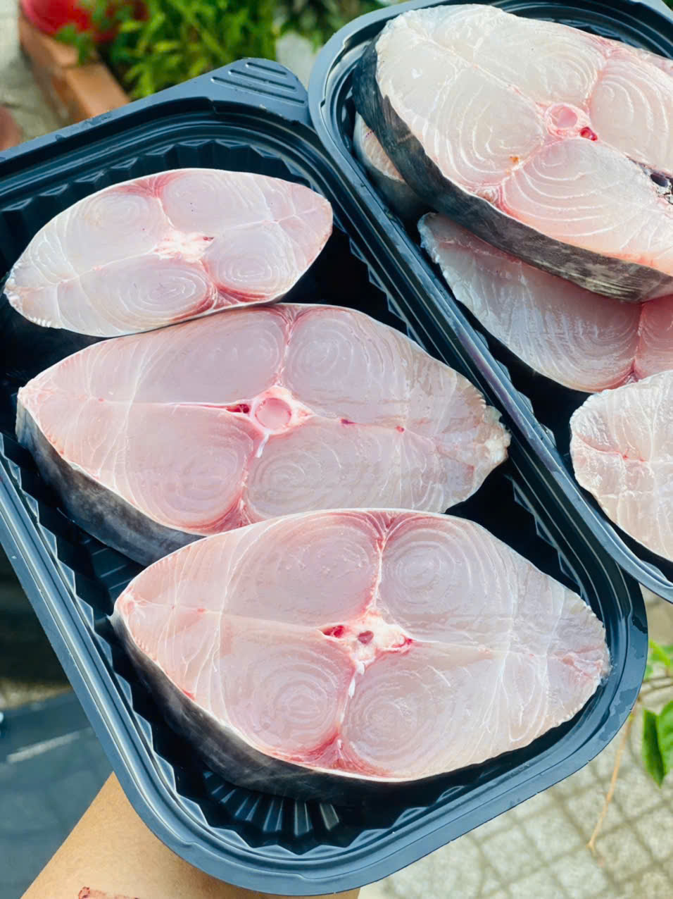 Cá thu cắt lát-02 Cá thu cắt lát-02