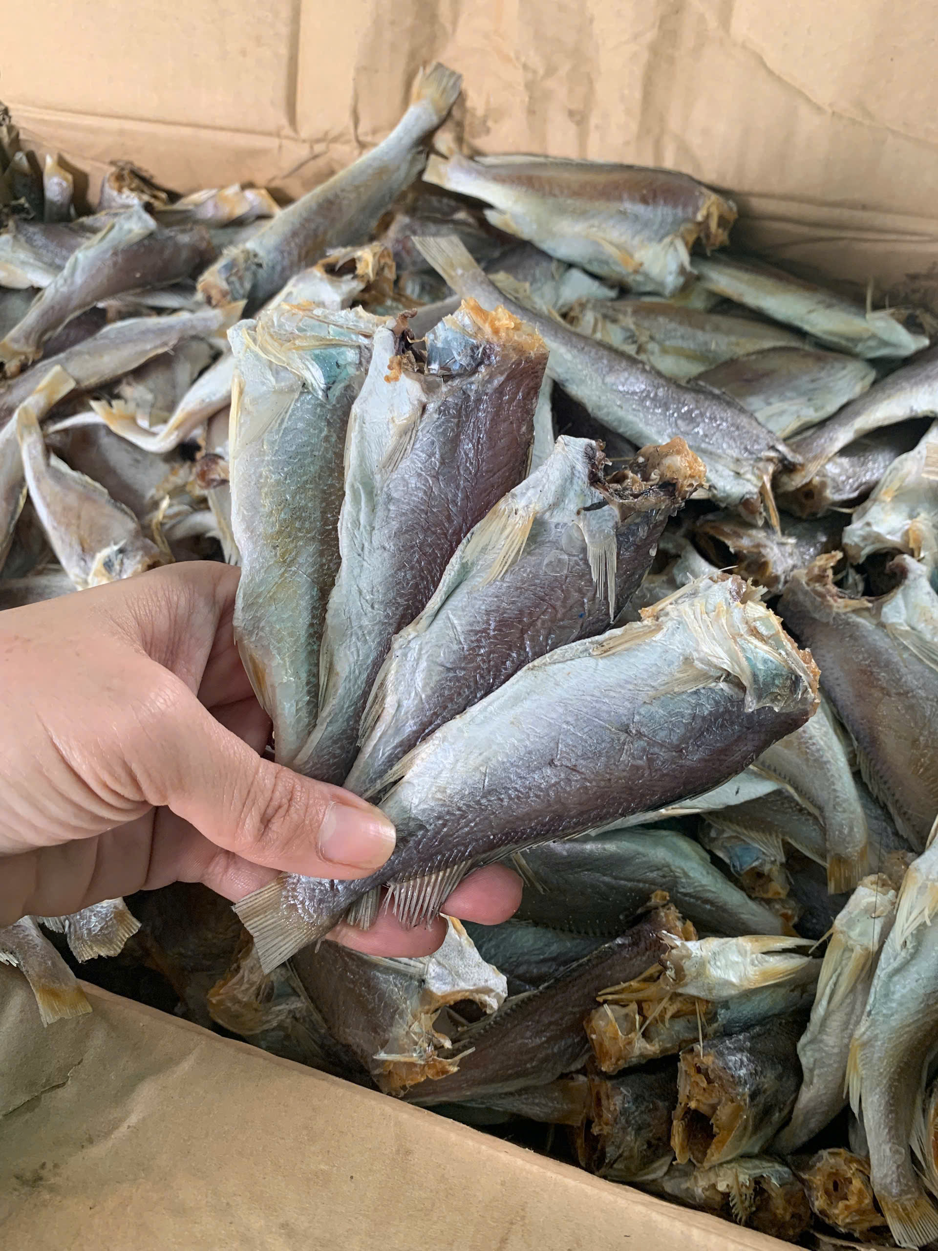 Khô cá Đù Khô cá Đù